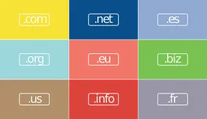 Website Domain Registration Services