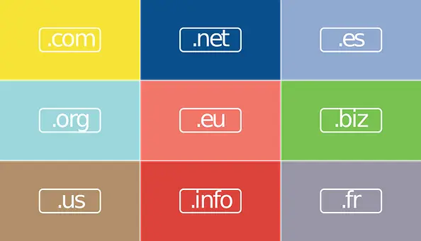 Website Domain Registration Services