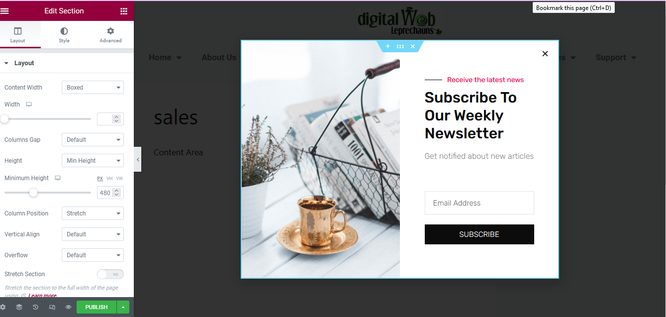 newsletter popup